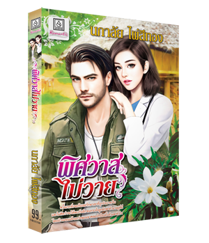 Review Romantic : พิศวาสไม่วาย